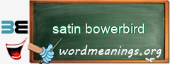 WordMeaning blackboard for satin bowerbird